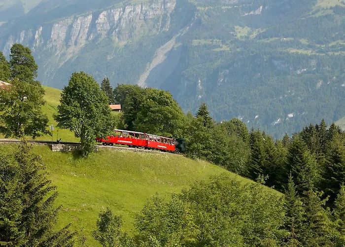 Brienzersee - Direct Lake View