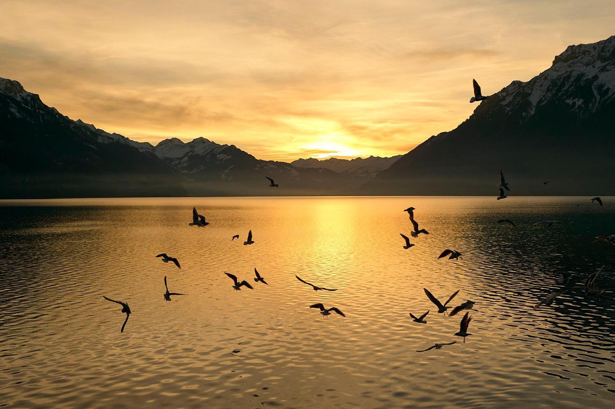 Appartamento Brienzersee - Direct View *